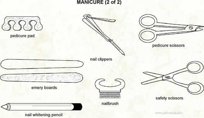 Manicures  (Visual Dictionary)